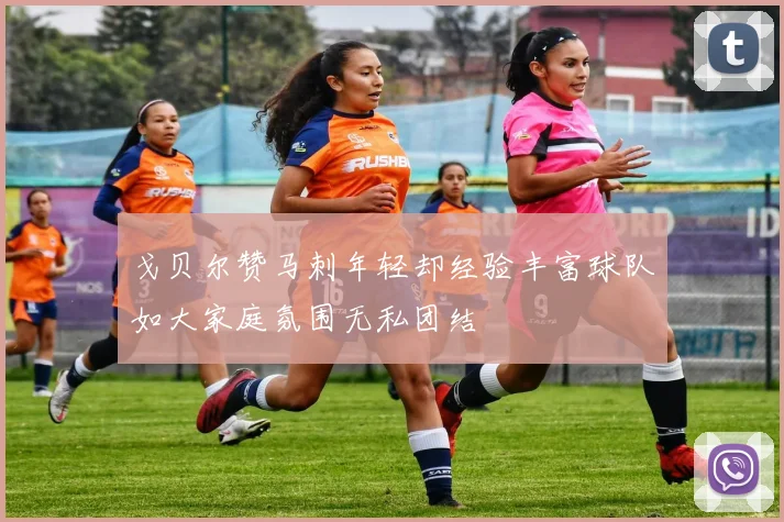 戈贝尔赞马刺年轻却经验丰富球队如大家庭氛围无私团结