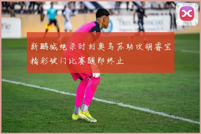新鹏城绝杀时刻奥乌苏助攻胡睿宝精彩破门比赛随即终止