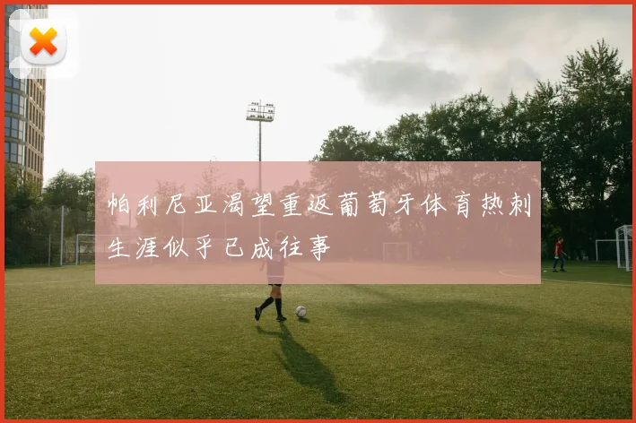 帕利尼亚渴望重返葡萄牙体育热刺生涯似乎已成往事