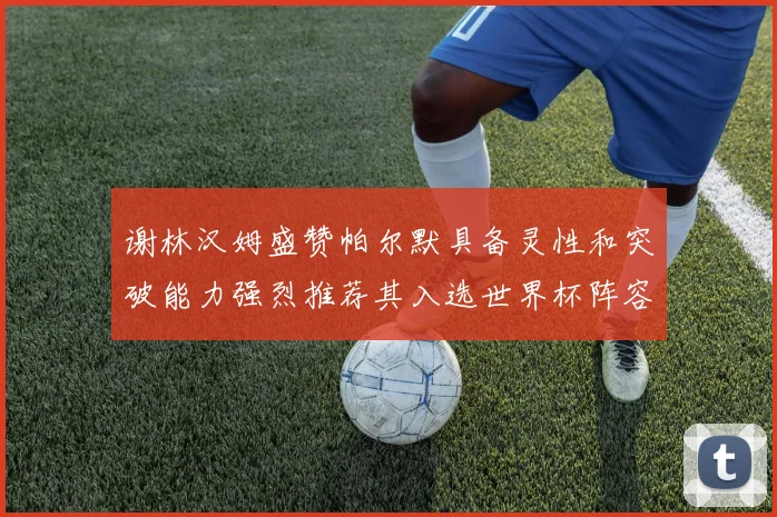 谢林汉姆盛赞帕尔默具备灵性和突破能力强烈推荐其入选世界杯阵容